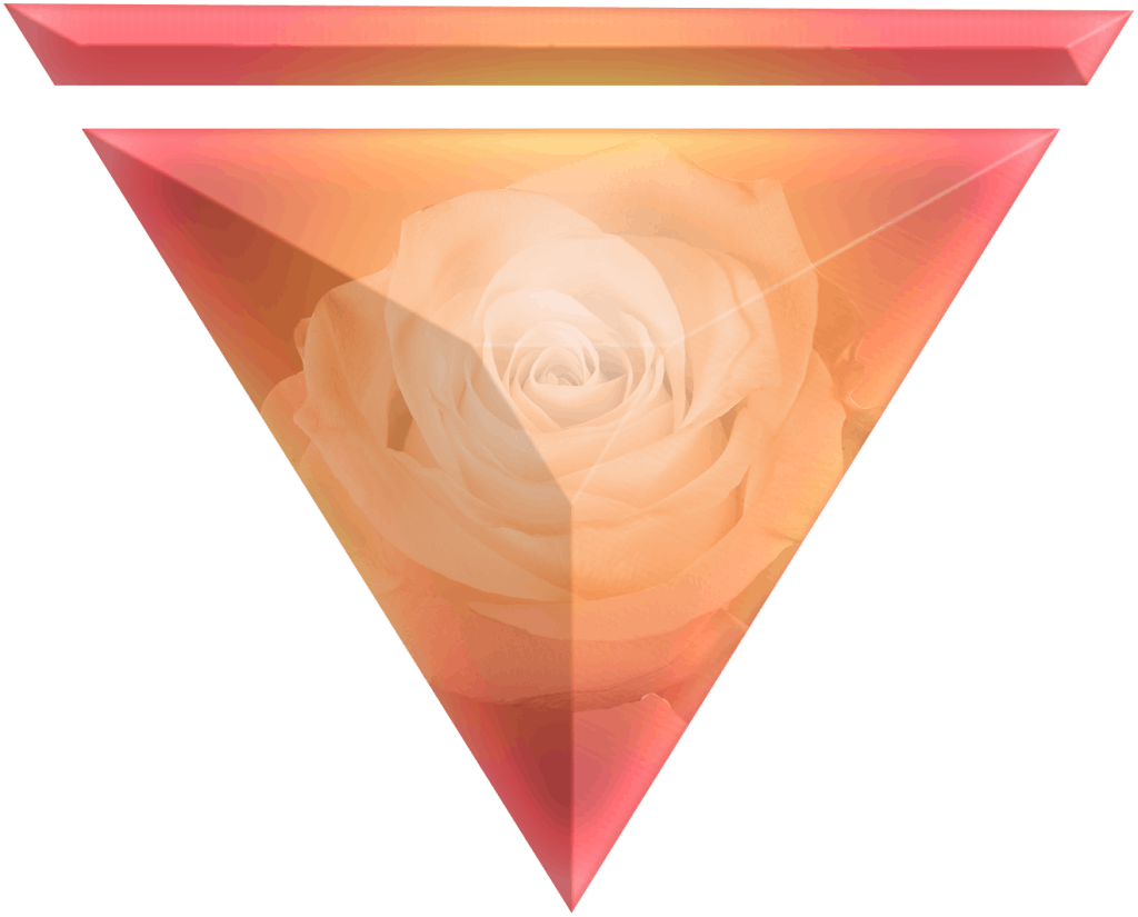 Magdalena of the Rose : White Rose Transmission - The Rose Lineage